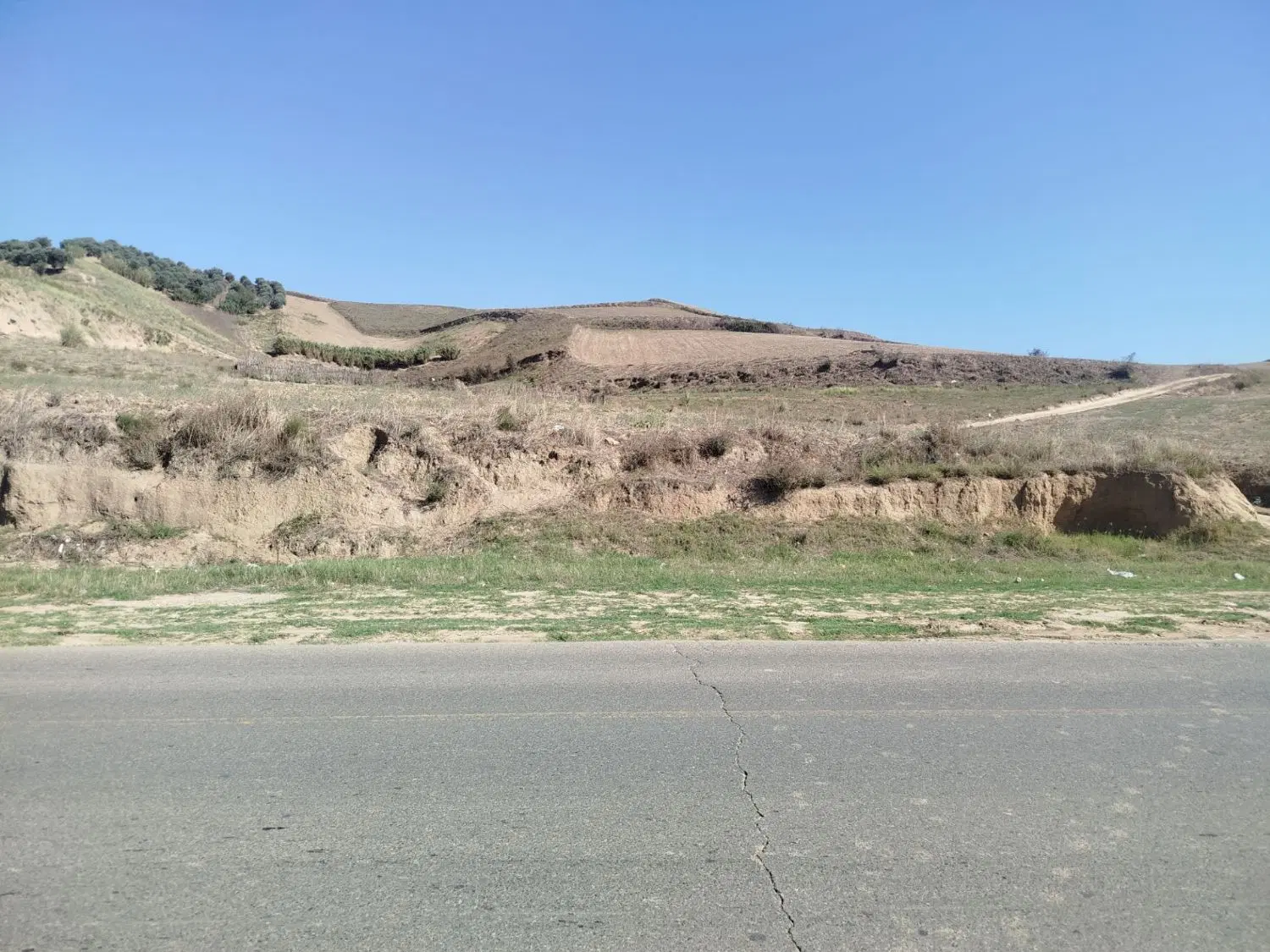 زمین کشاورزی