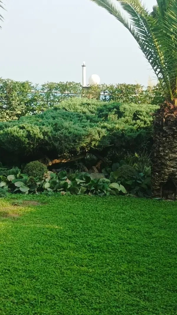 ۳۰۰۰متر زمین کشاورزی.(فروش فوری)