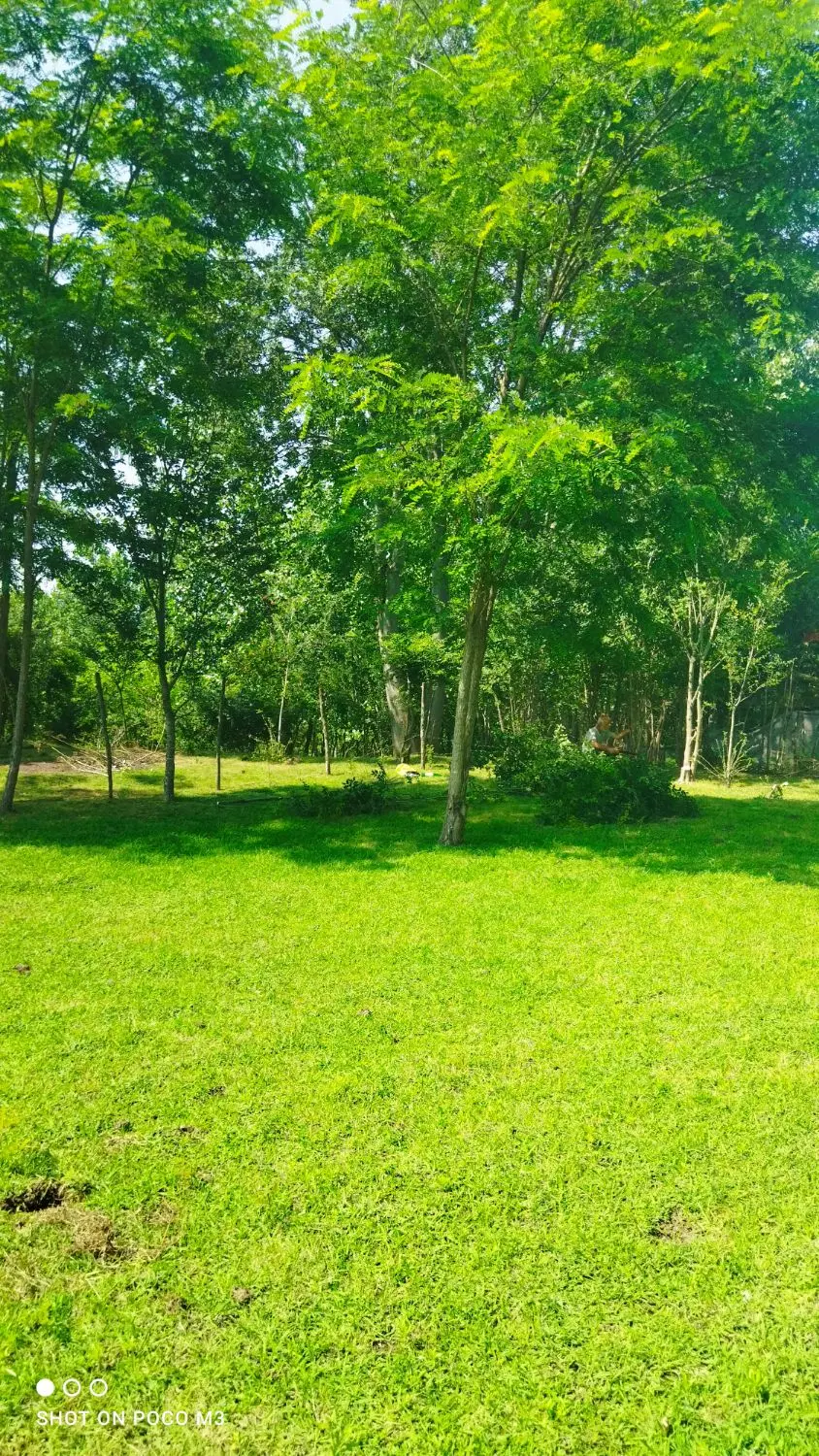 زمین ۳۰۰ متری روستای کچا