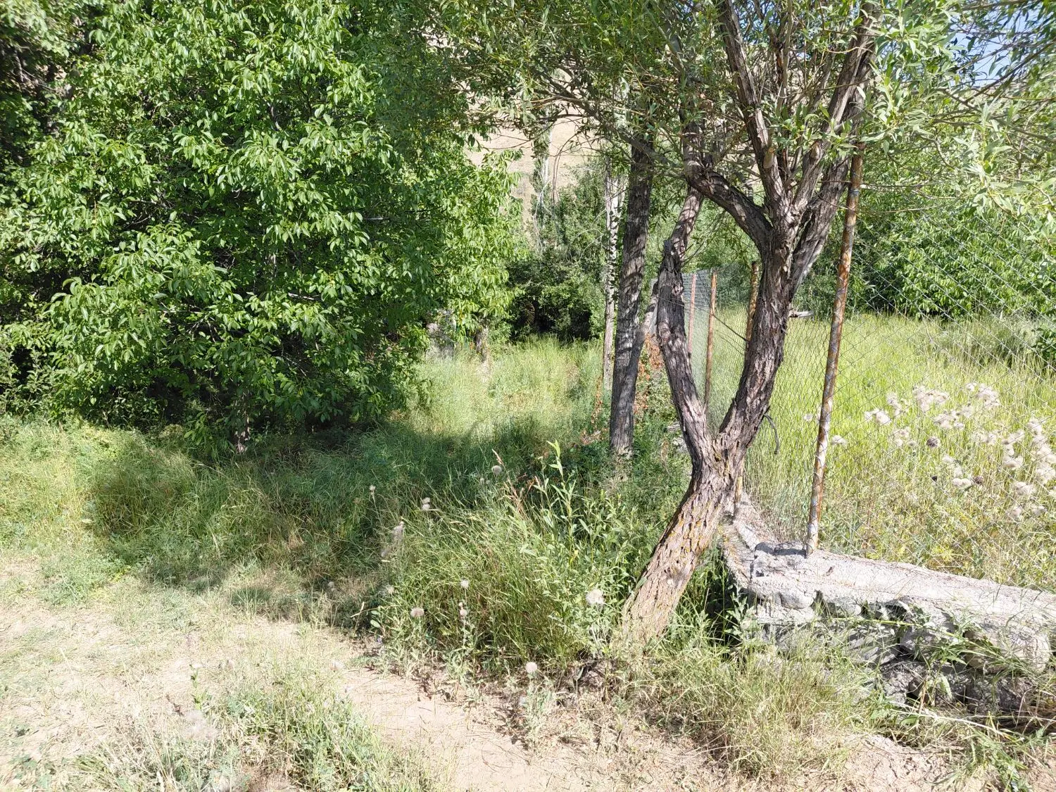 زمین باغی ۲۱۰۰متر