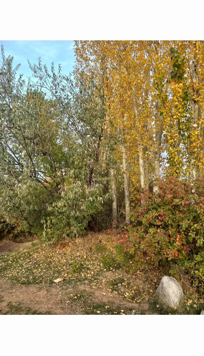 زمین ویلایی