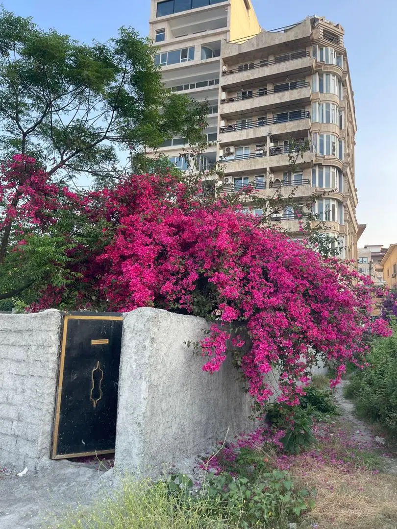 اجاره یک دستکاه ملک ویلایی