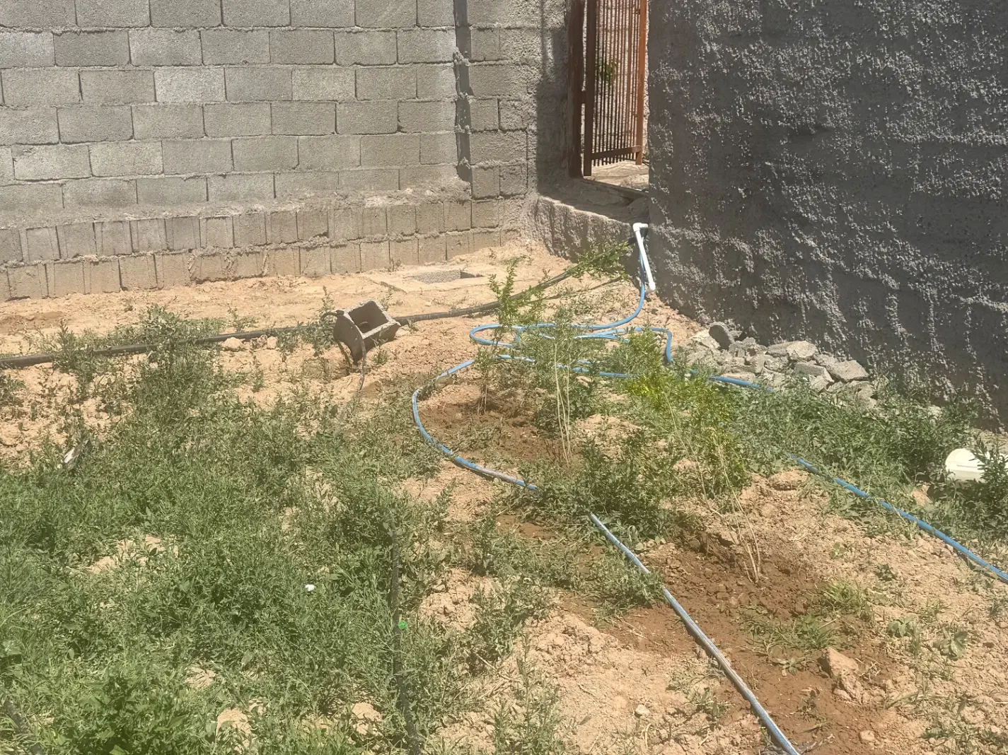 خانه