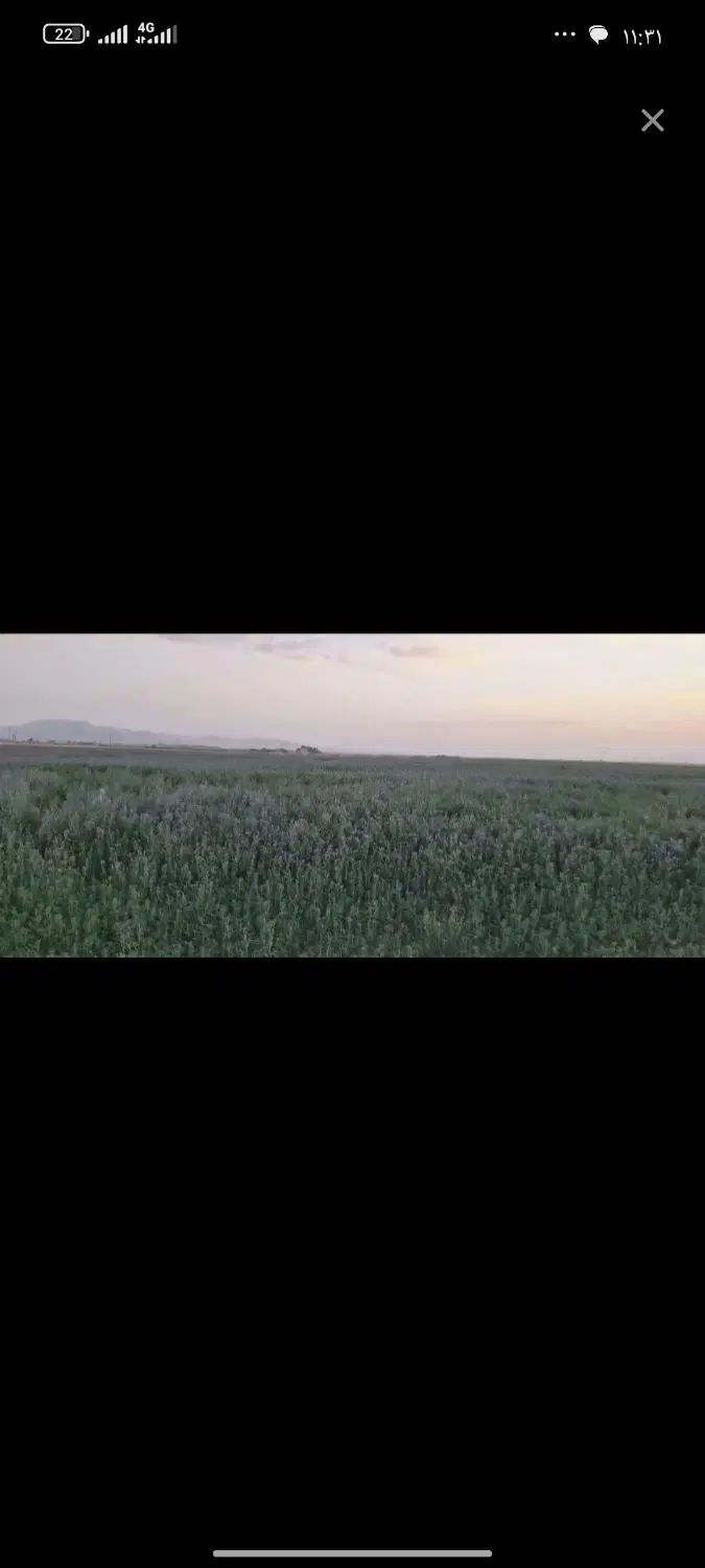 جویای اجاره زمین کشاورزی