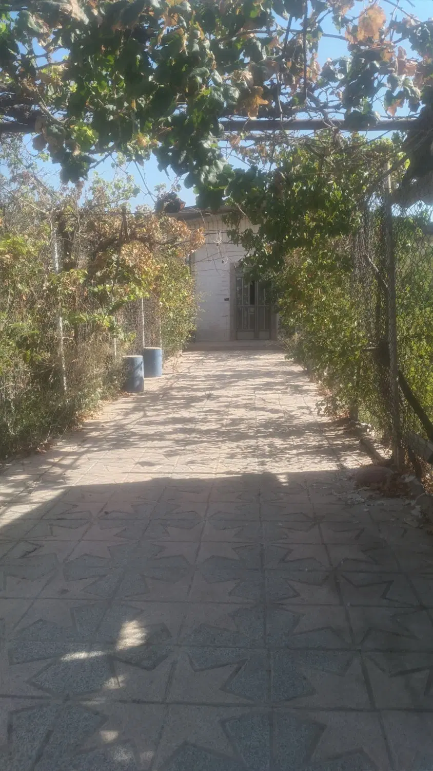 فروش باغچه