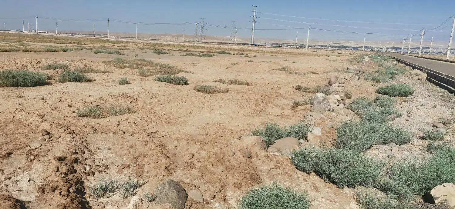 فرصت استثنایی سرمایه‌گذاری_فروش زمینهای 1000 متری