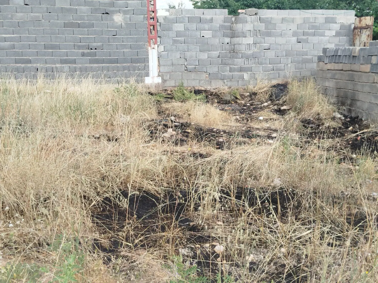 روستای بیدسرخ(فروش زمین مسکونی)
