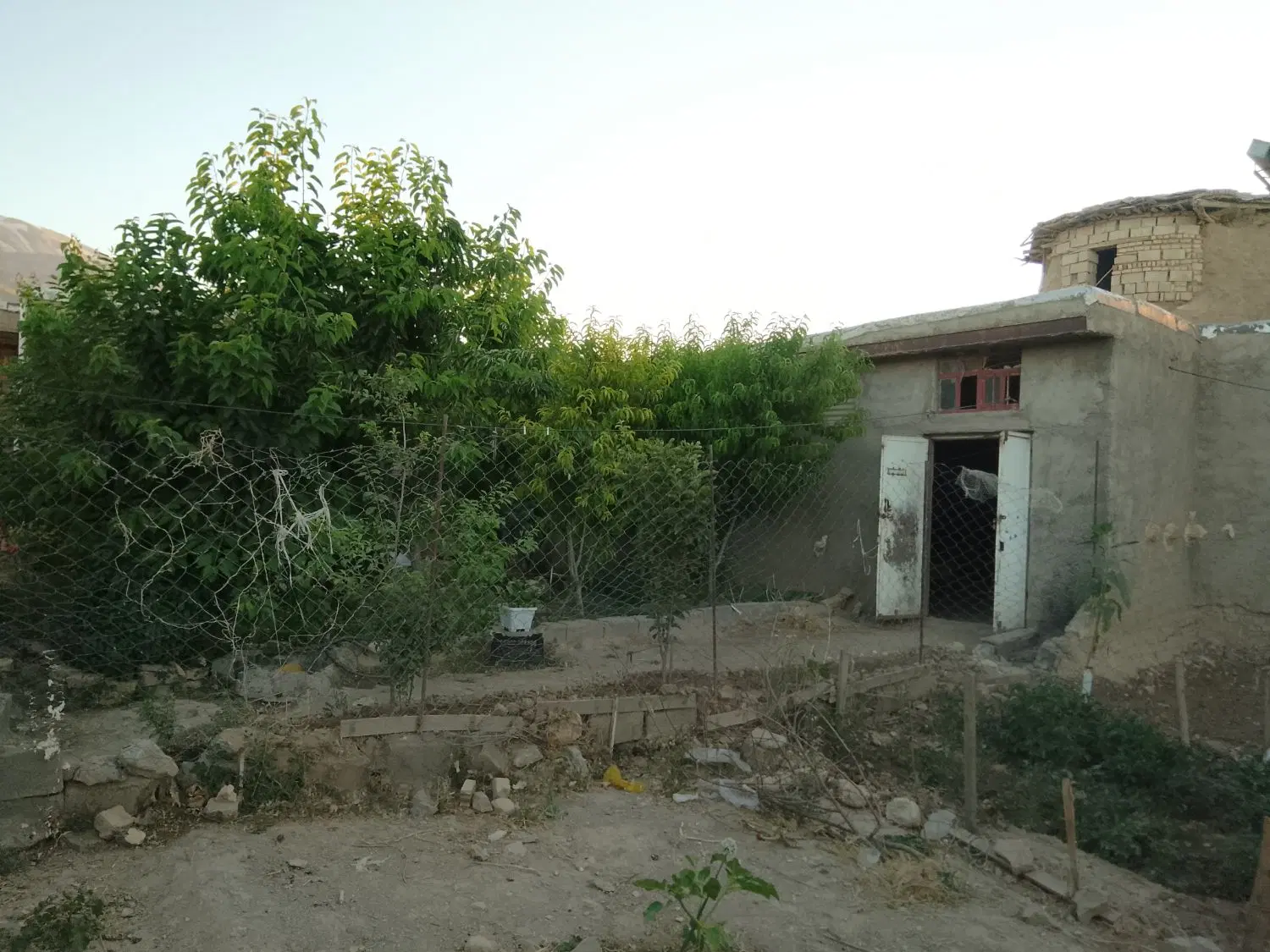 یک دامداری برای شراکت مرغ تخم گذار وقیره
