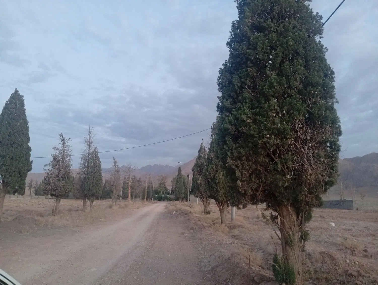 فروش زمین باغ هرندی
