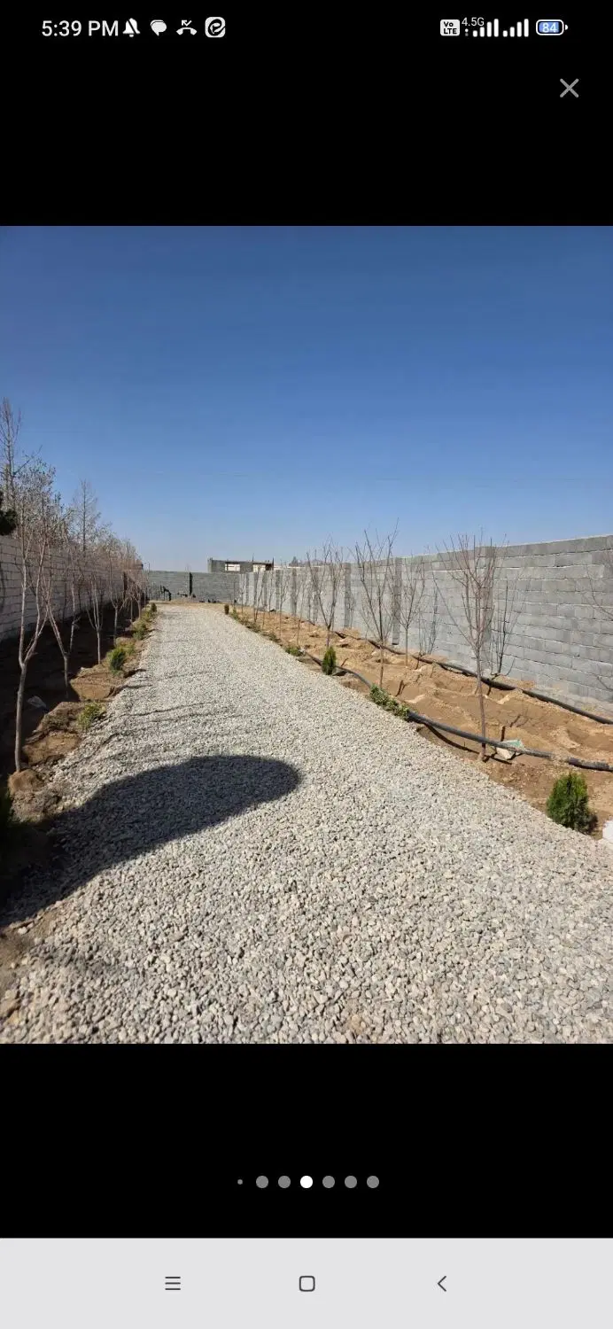 زمین باغی