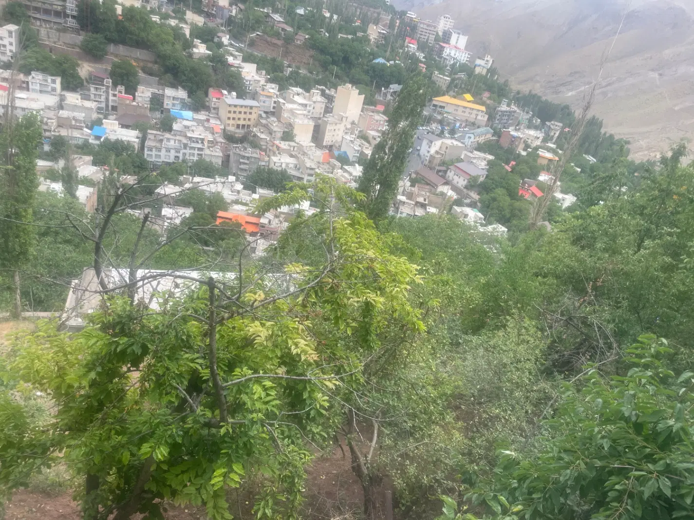زمین. دارای ساعت آب. ویوی عال