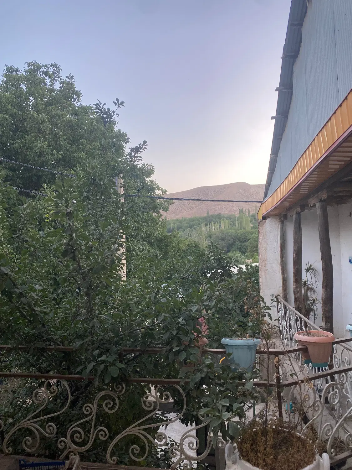 زمین،باغ
