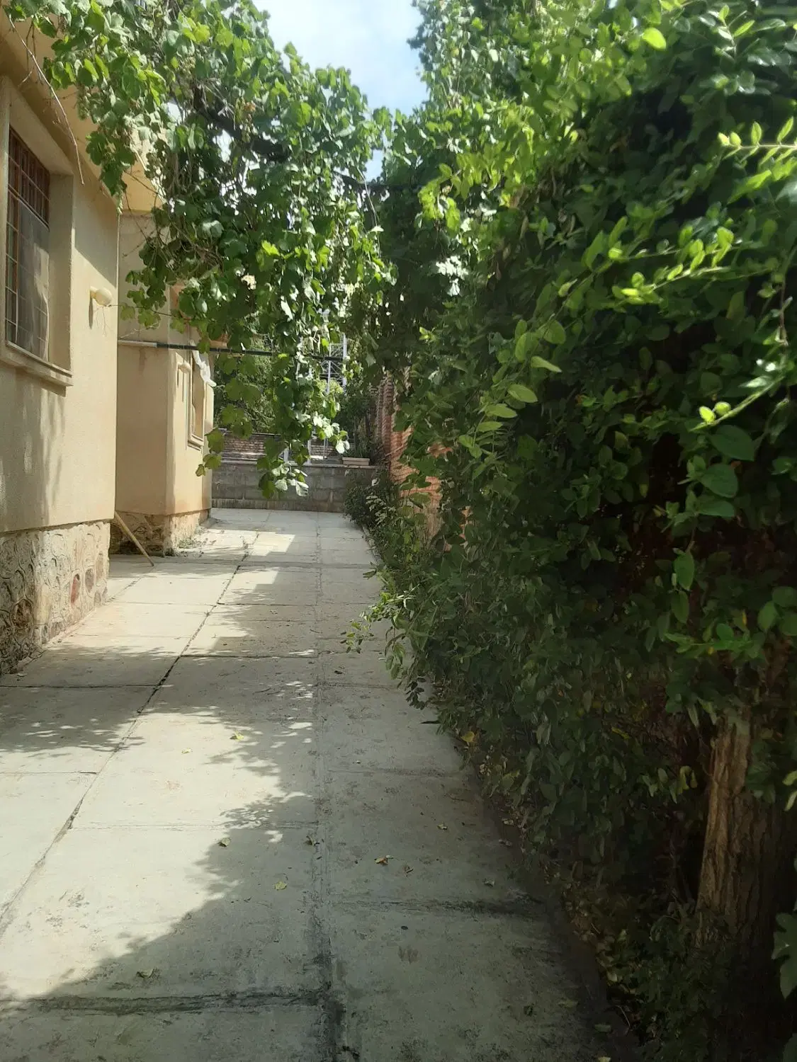 ۱۳۵۰ متر باغ ویلا مشجر (بام دماوند)