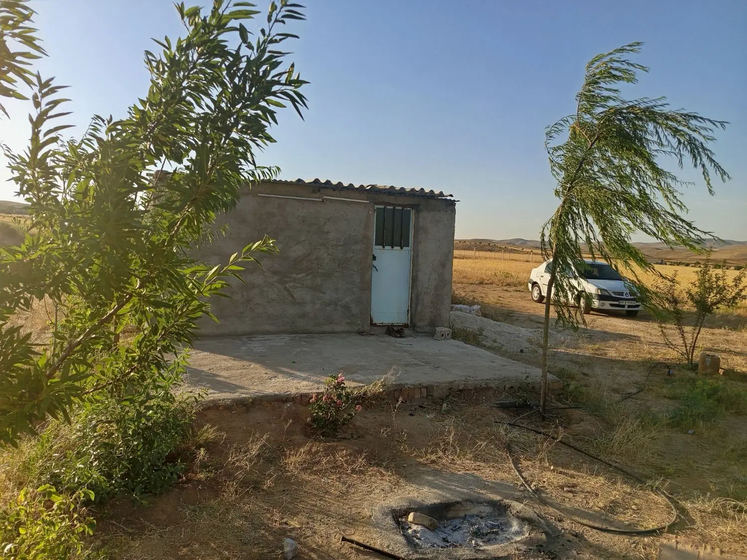 زمین باغی