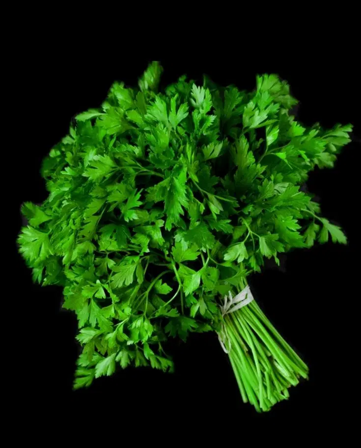 سبزی فروش