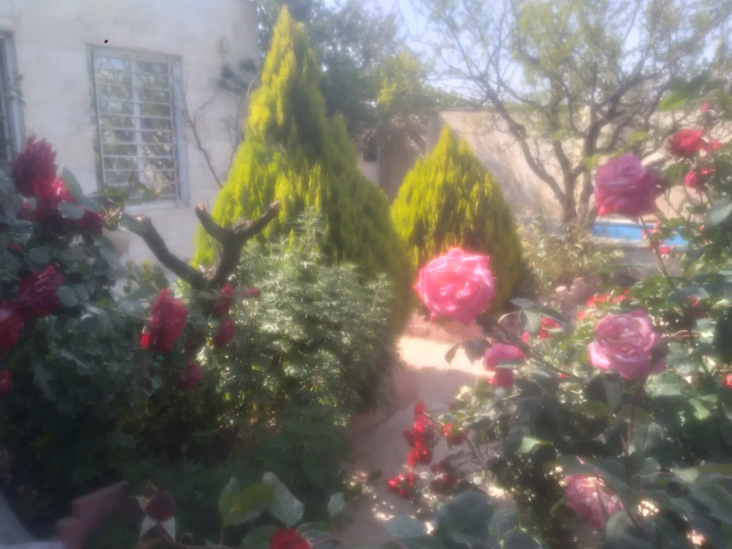 ویلا شهرکی۲۸۰
