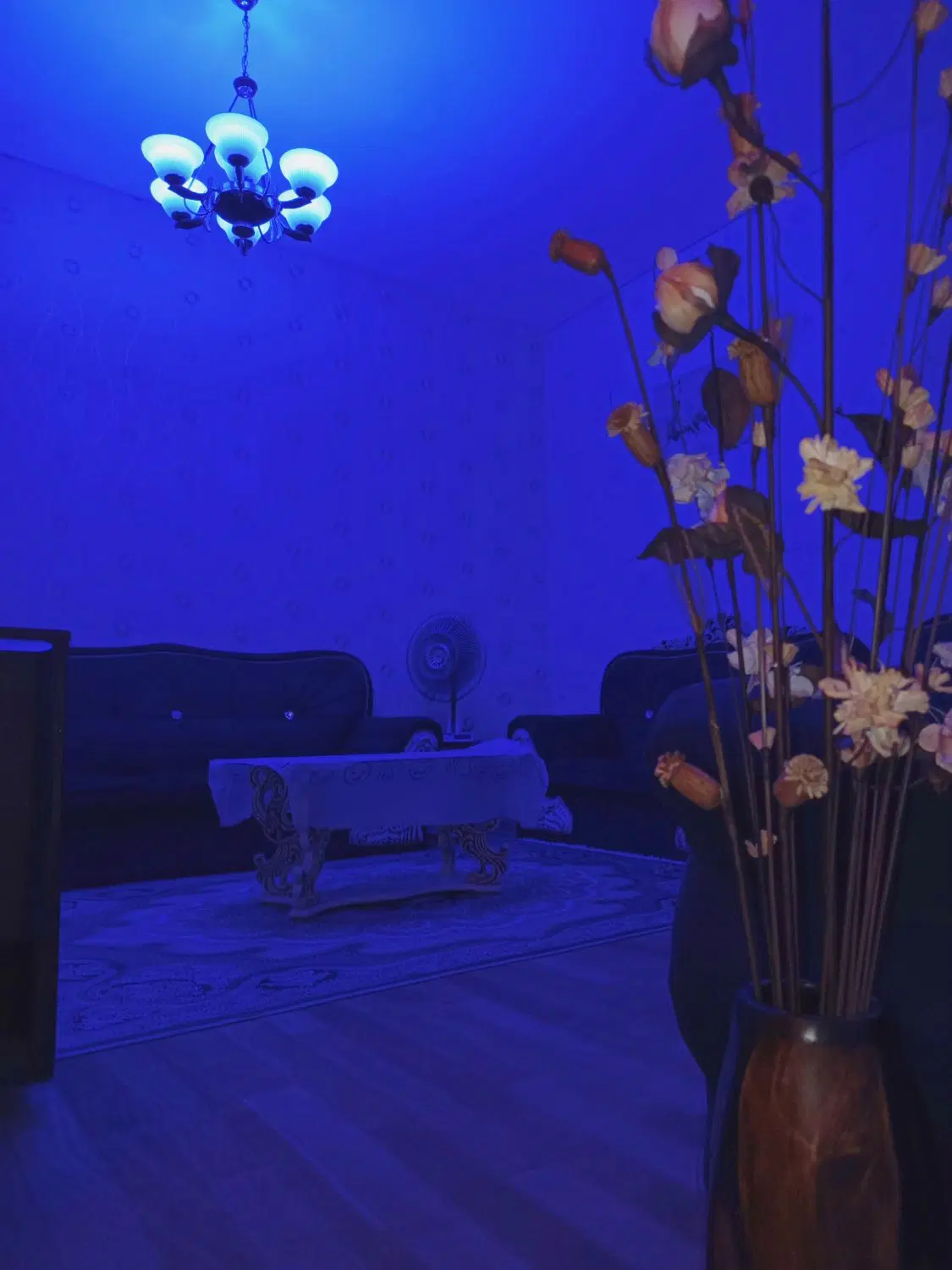 منزل مبله ویلایی شیک ،تایمی روزانه پاسخگو۲۴ساعته