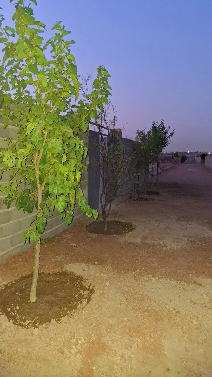 باغچه نقلی  ۲۰۹ متری سند تکبرگ