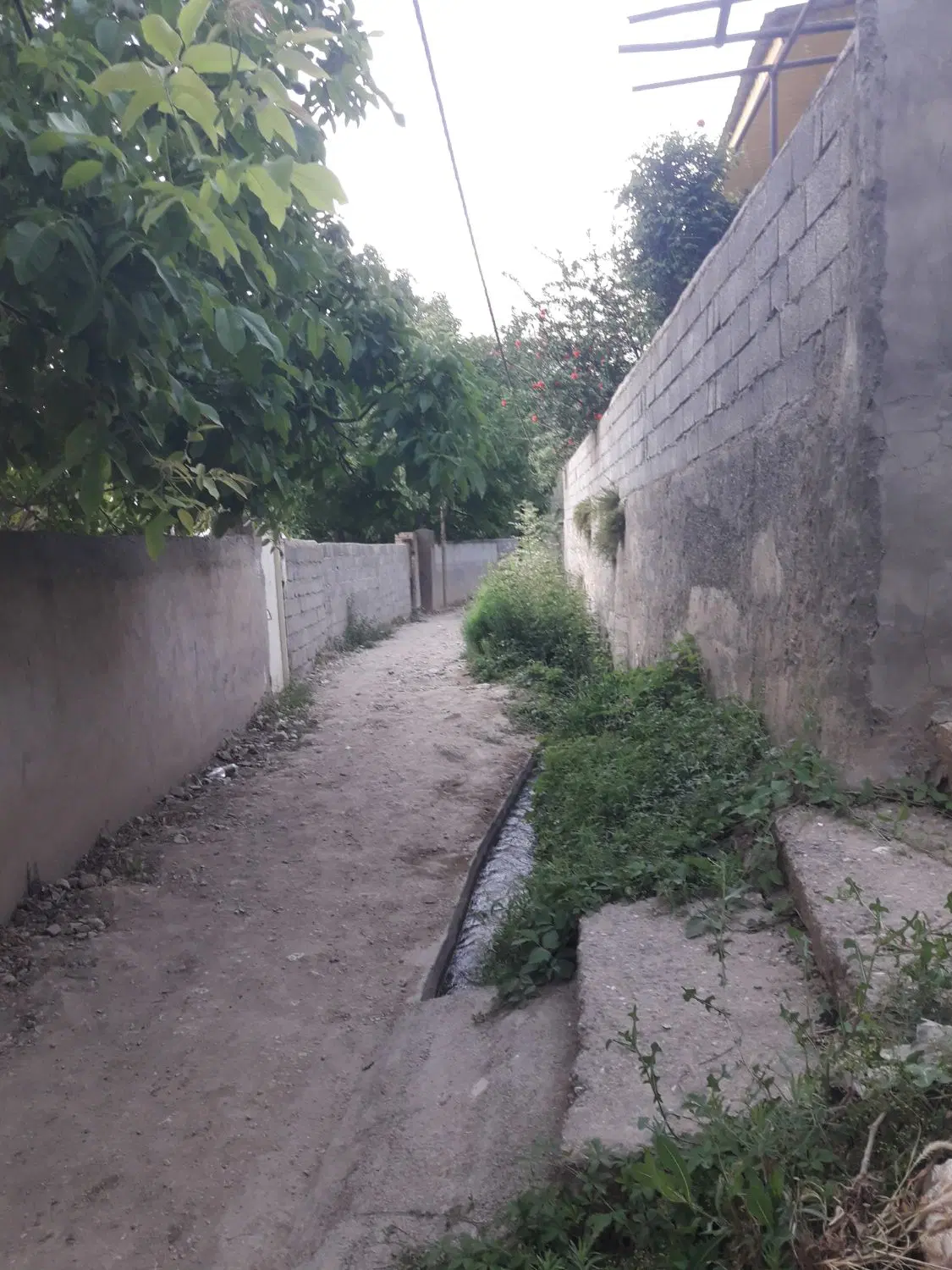 زمین