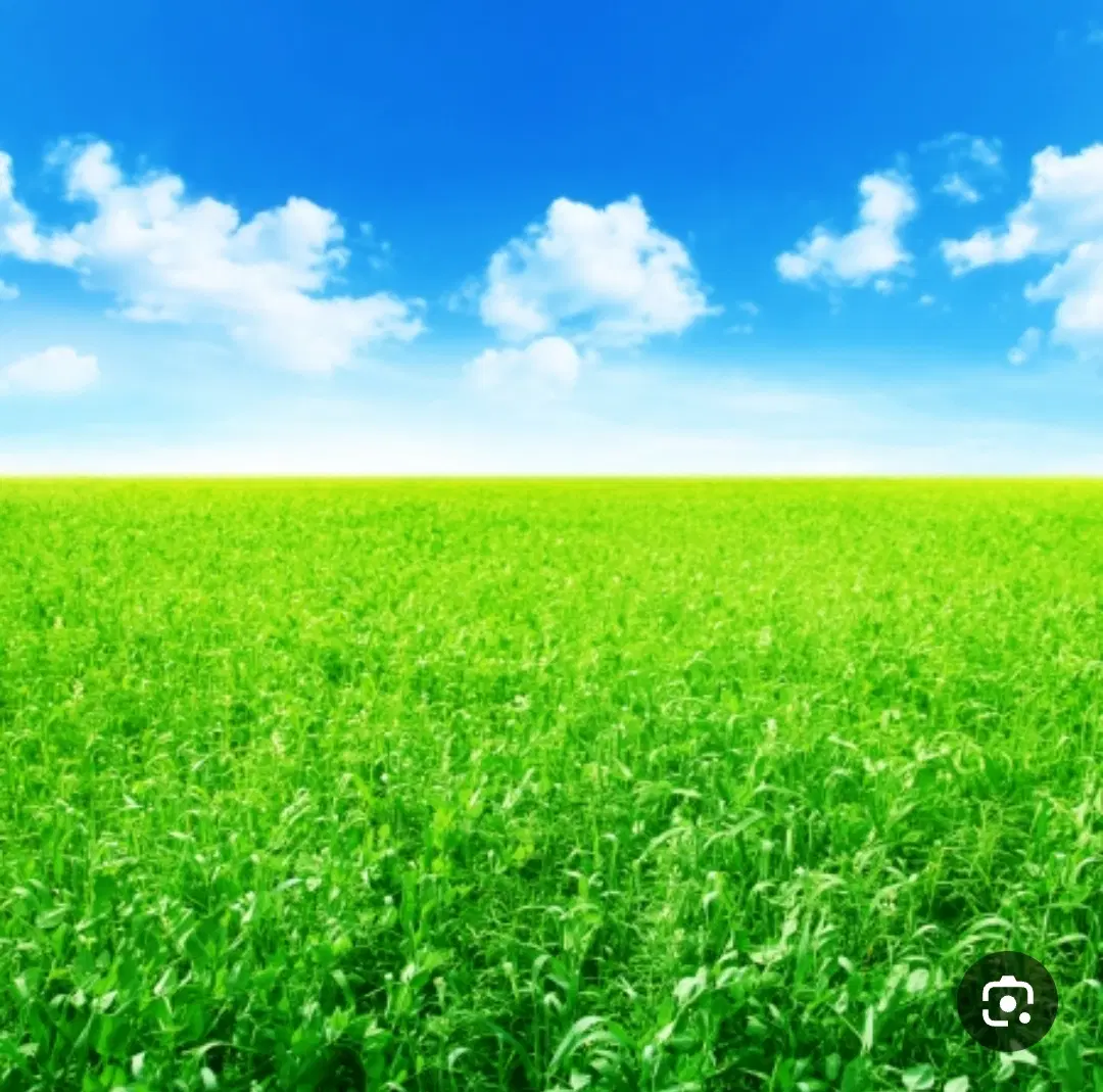 زمین کشاورزی