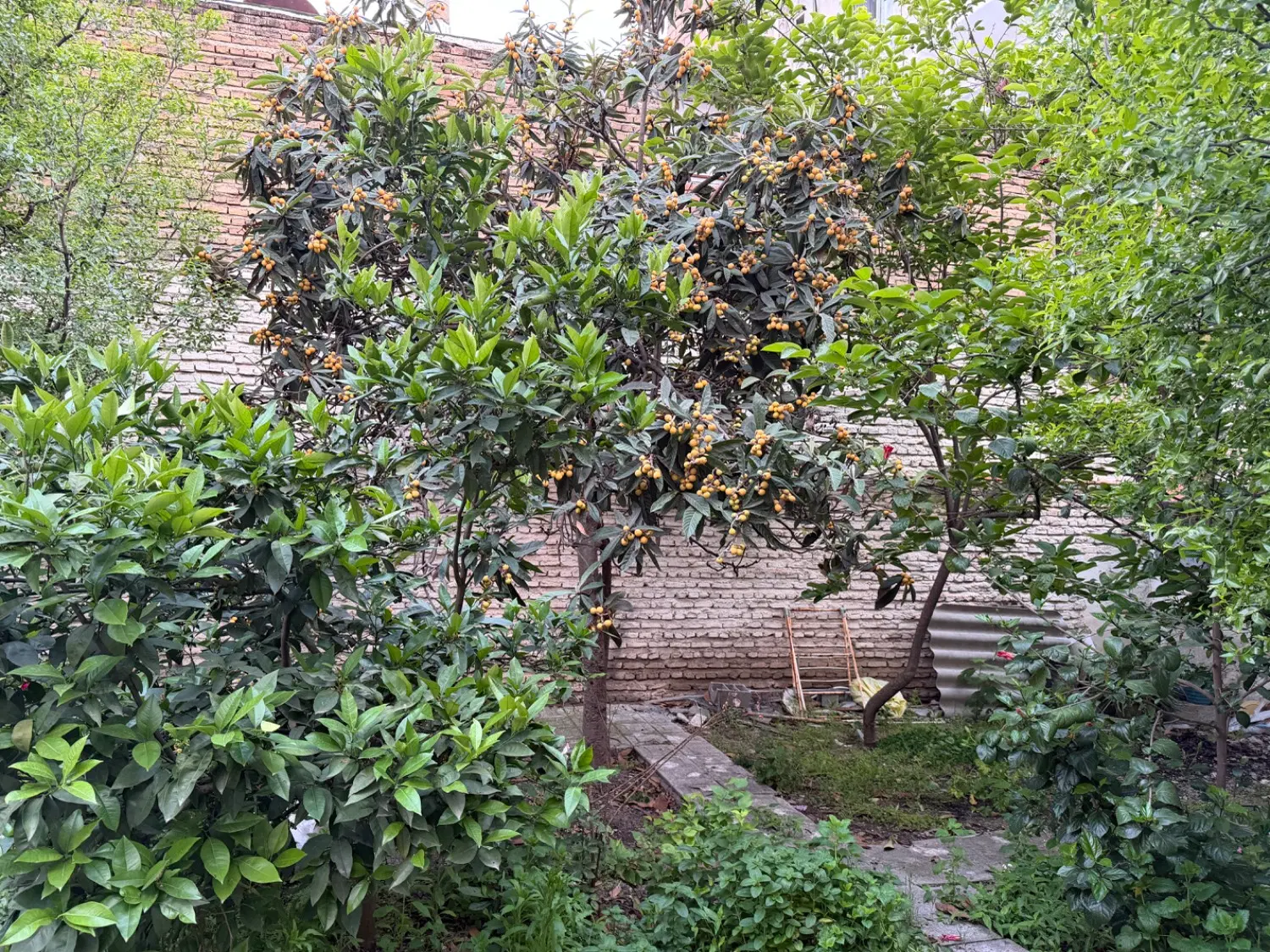 خانه کلنگی دو طبقه 375 متر