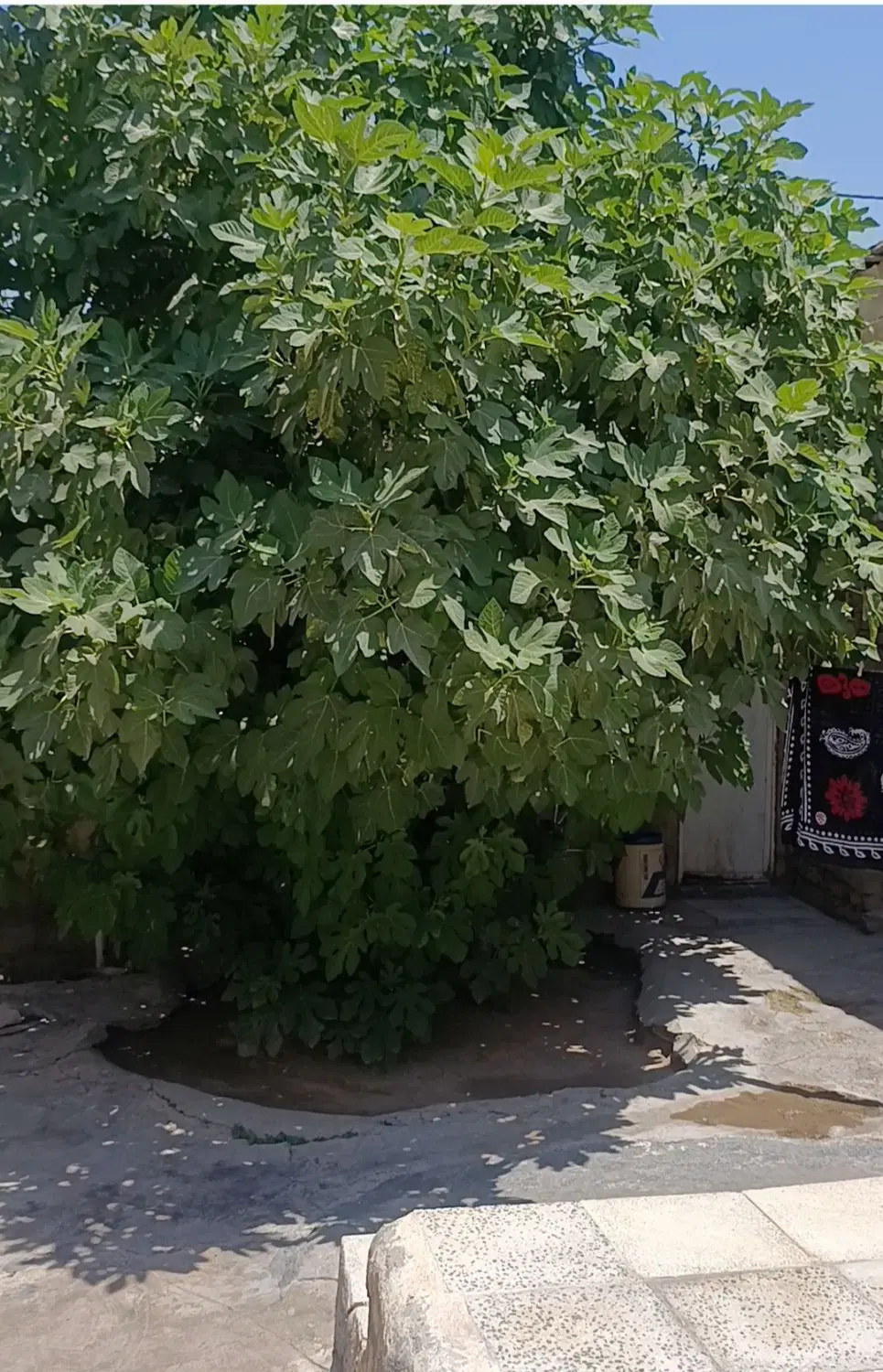 خانه ویلایی