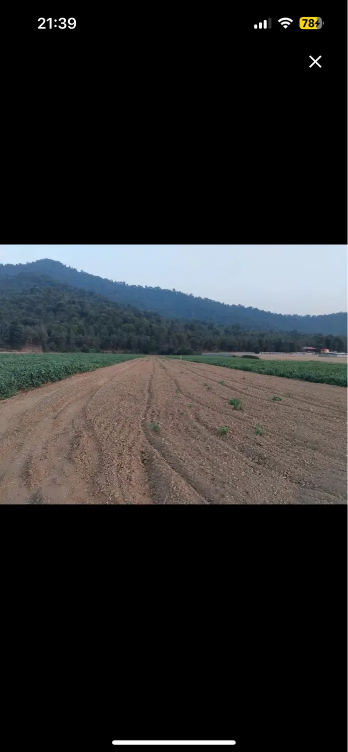 زمین برای فروش درروستای ملاحسن