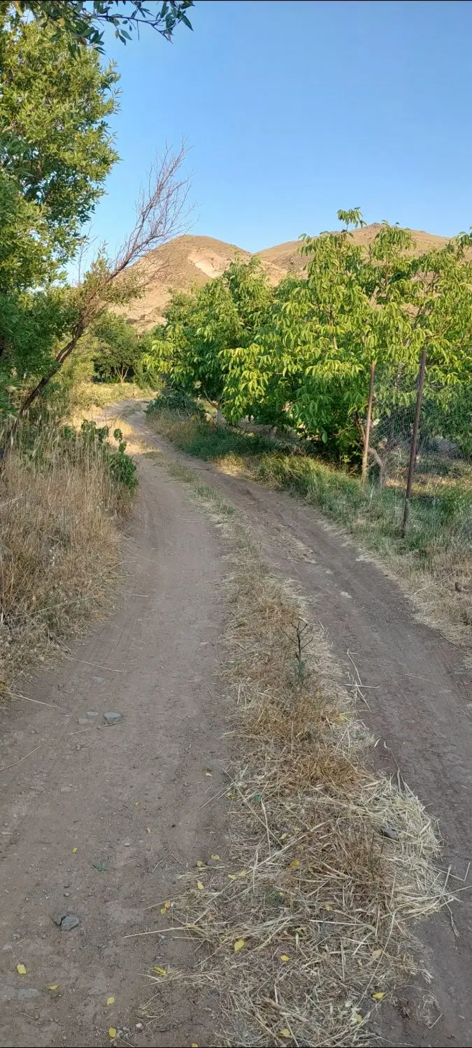 باغ ۶۰۰متری در روستای گرکین