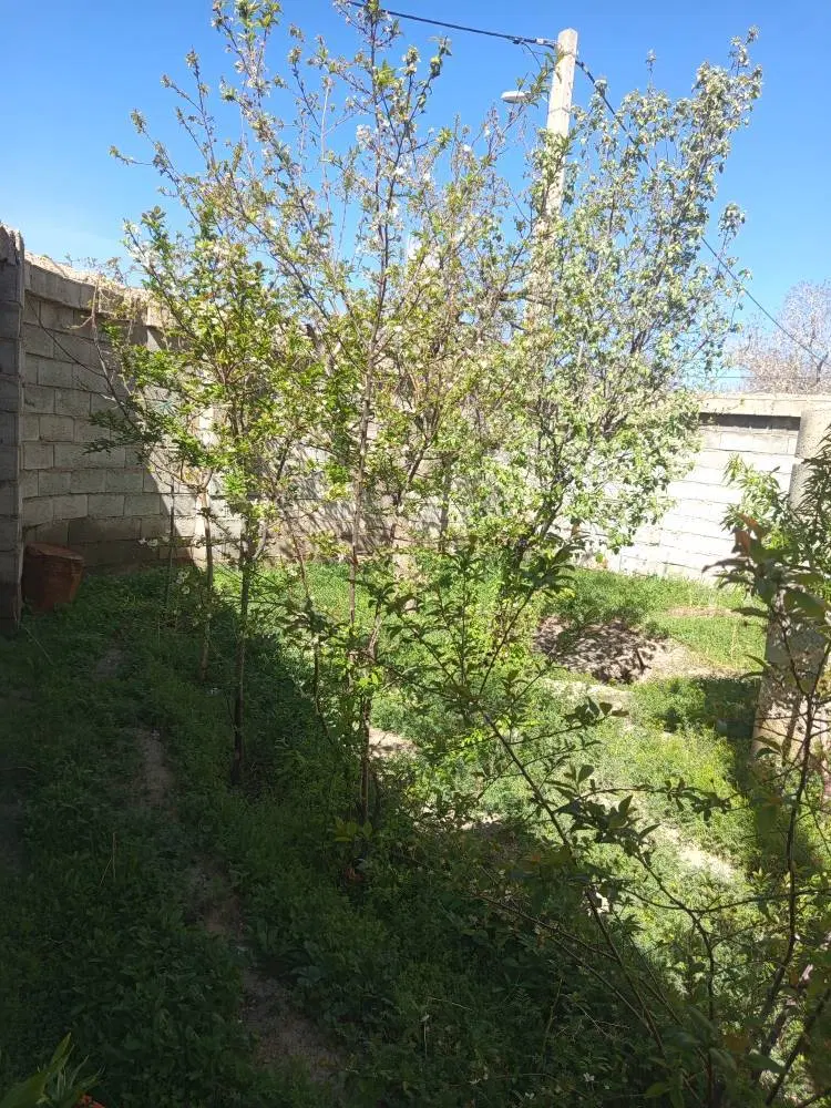منزل مسکونی