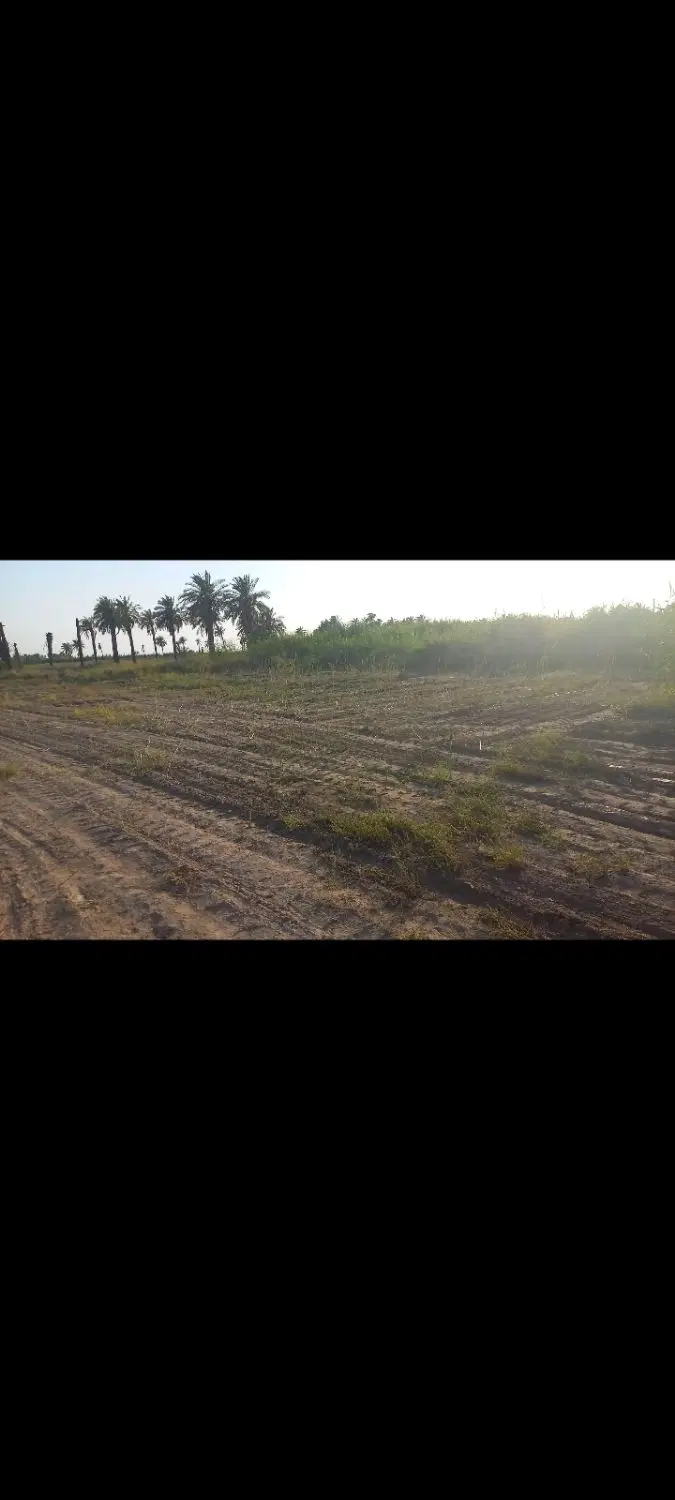 جزیره +مینوشهر