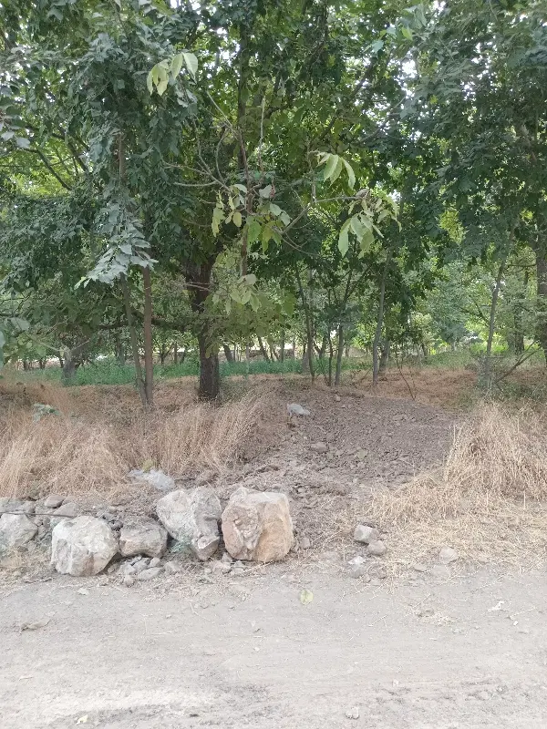 اجاره زمین کشاورزی