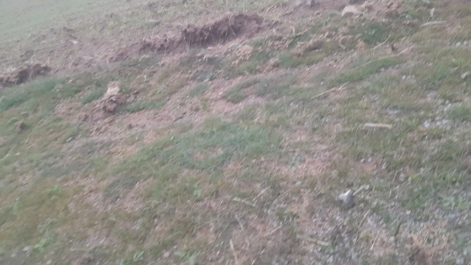 زمین به متراژ ۲۵۷۰۰متر مربع