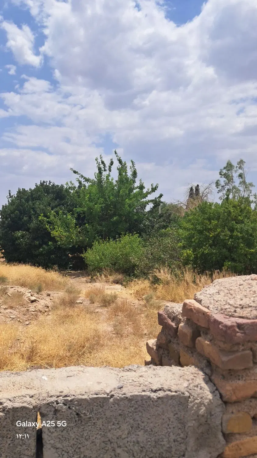 باغ مسکونی هماشهر