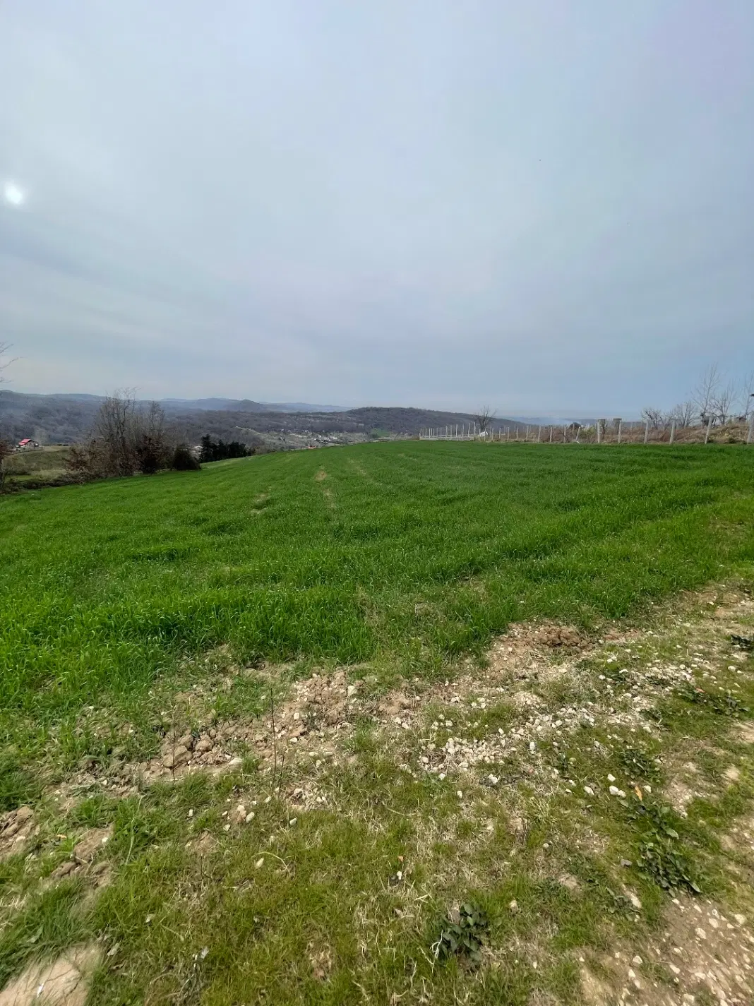 زمین کشاورزی در زرین آباد علیا