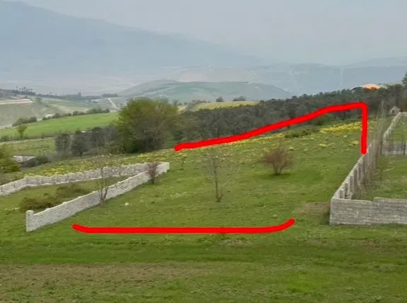 زمین  باغی 600
