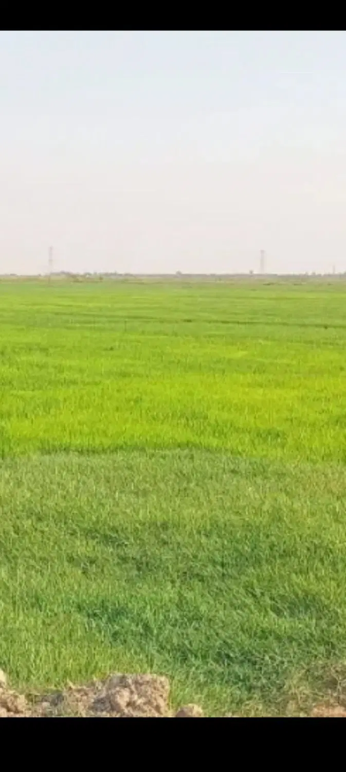 یک قطعه زمین 2000متر