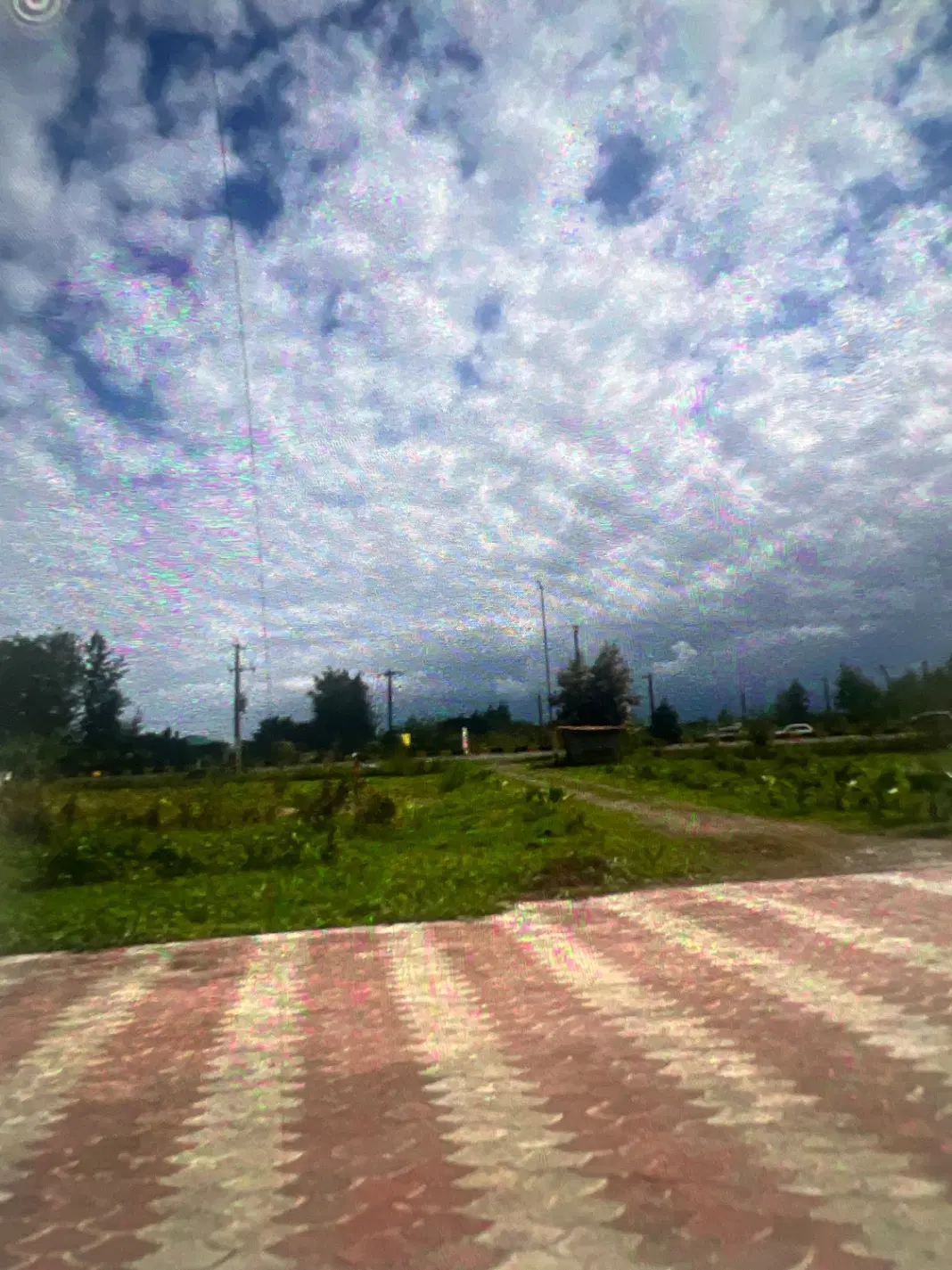 اجاره زمین