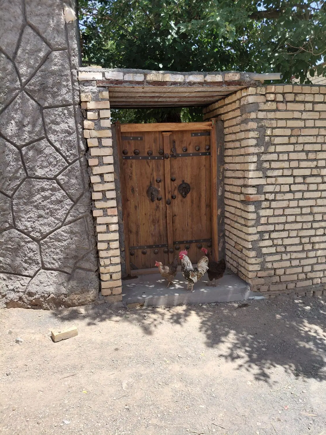 زمین تجاری