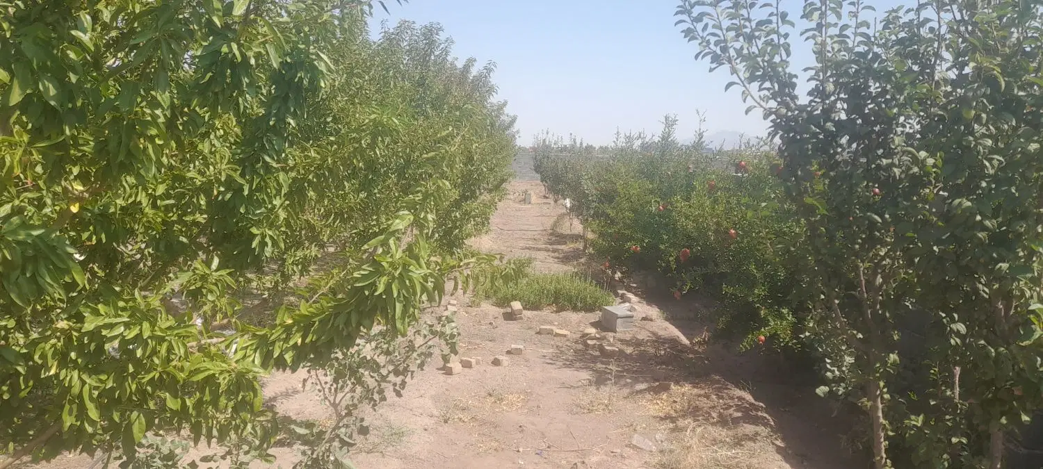 باغ ۱۵۰۰ متری مزرعه شهدا