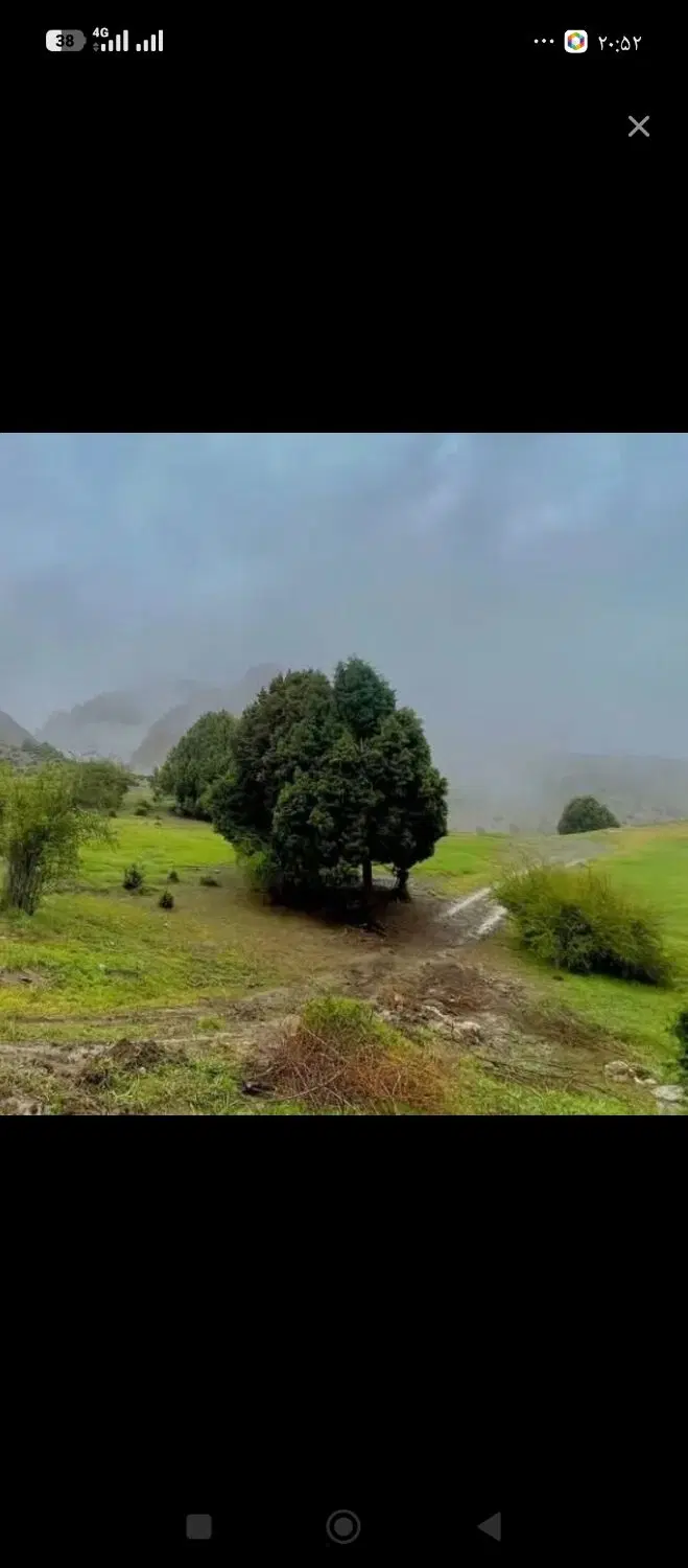 زمین در حاج بیکلر