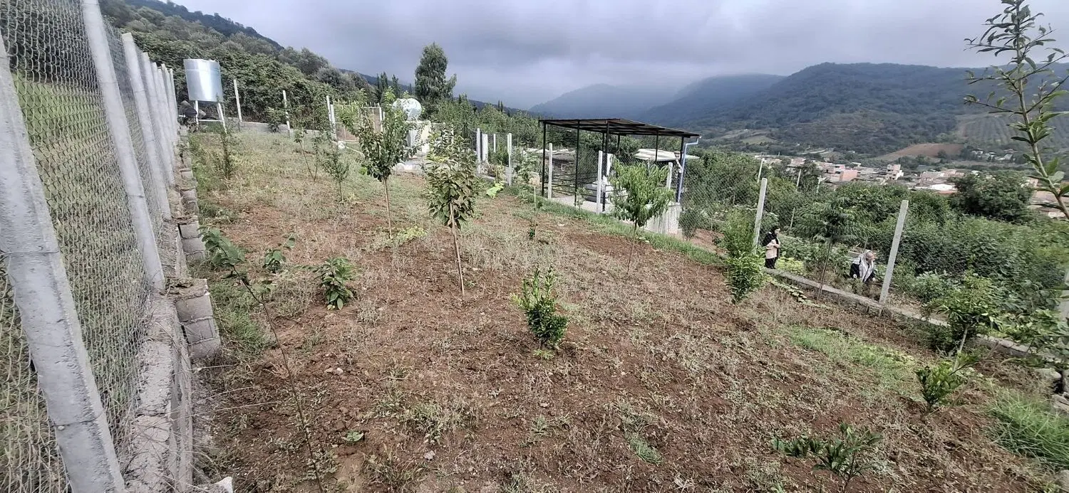 فروش زمین درباغگلبن