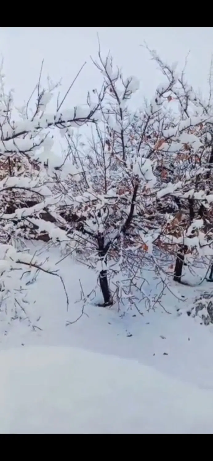 رابر کرمان  مناسب سکونت و سرمایه‌گذاری