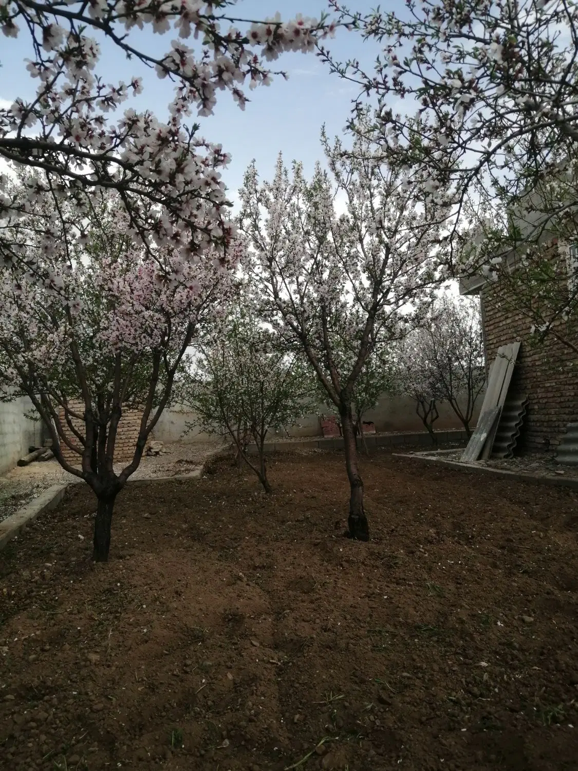 اجاره انبار درقراملک