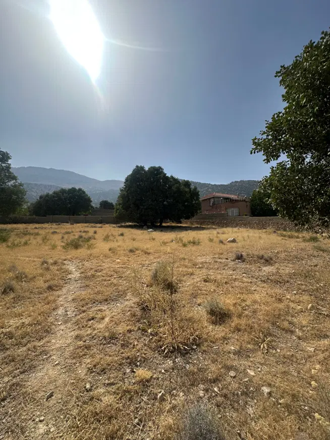 زمین - کوهمره (فروش فوری)