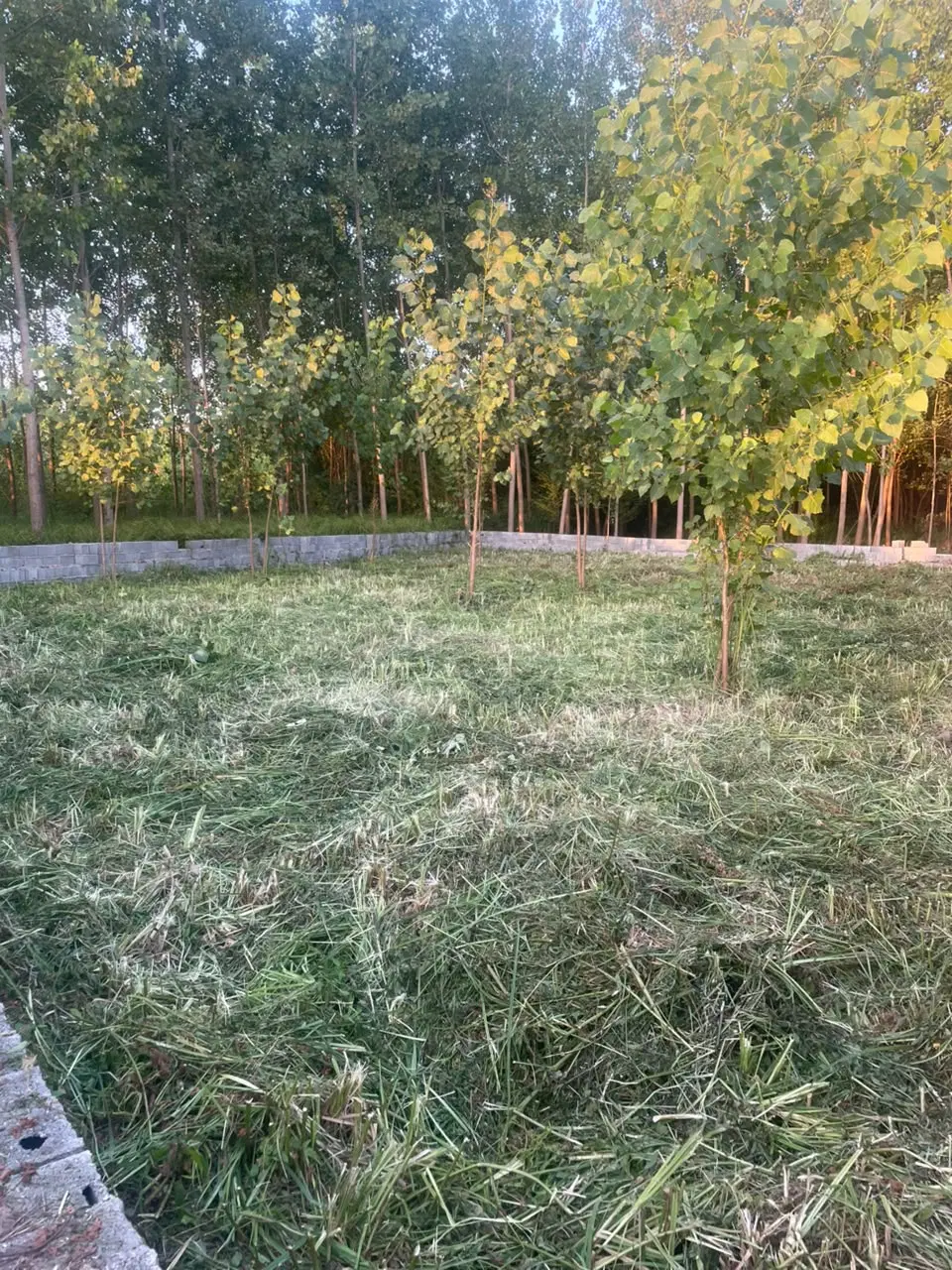 زمین ۴۵۰ متری مسکونی تجاری تک برگ سند