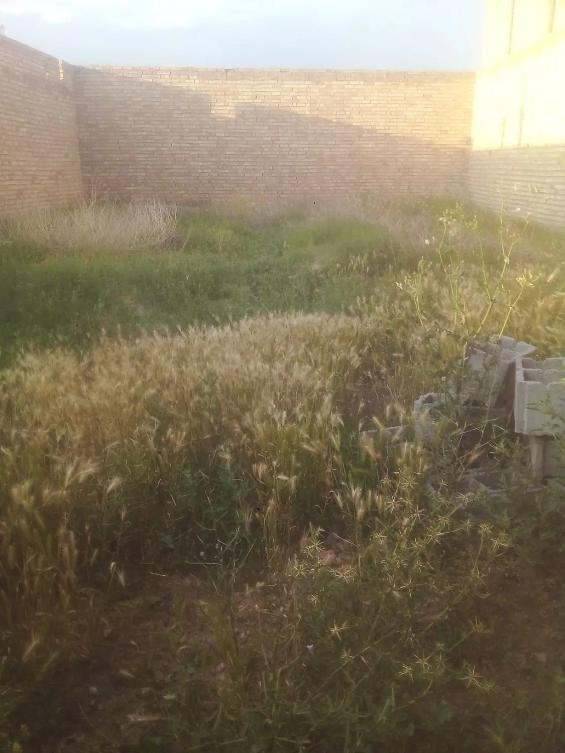 زمین درمنطقه شله بران