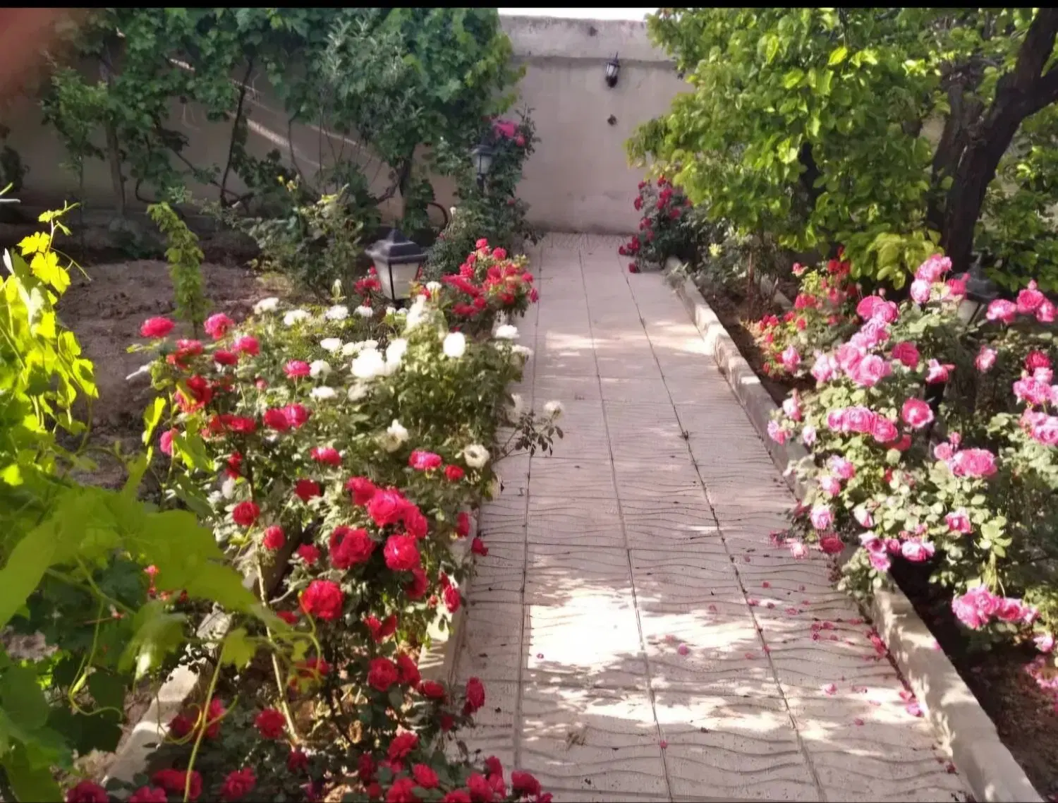 زمین ویلایی تاپ لوکیشن  ۵۲۵ متر دماوندهشت بهشت