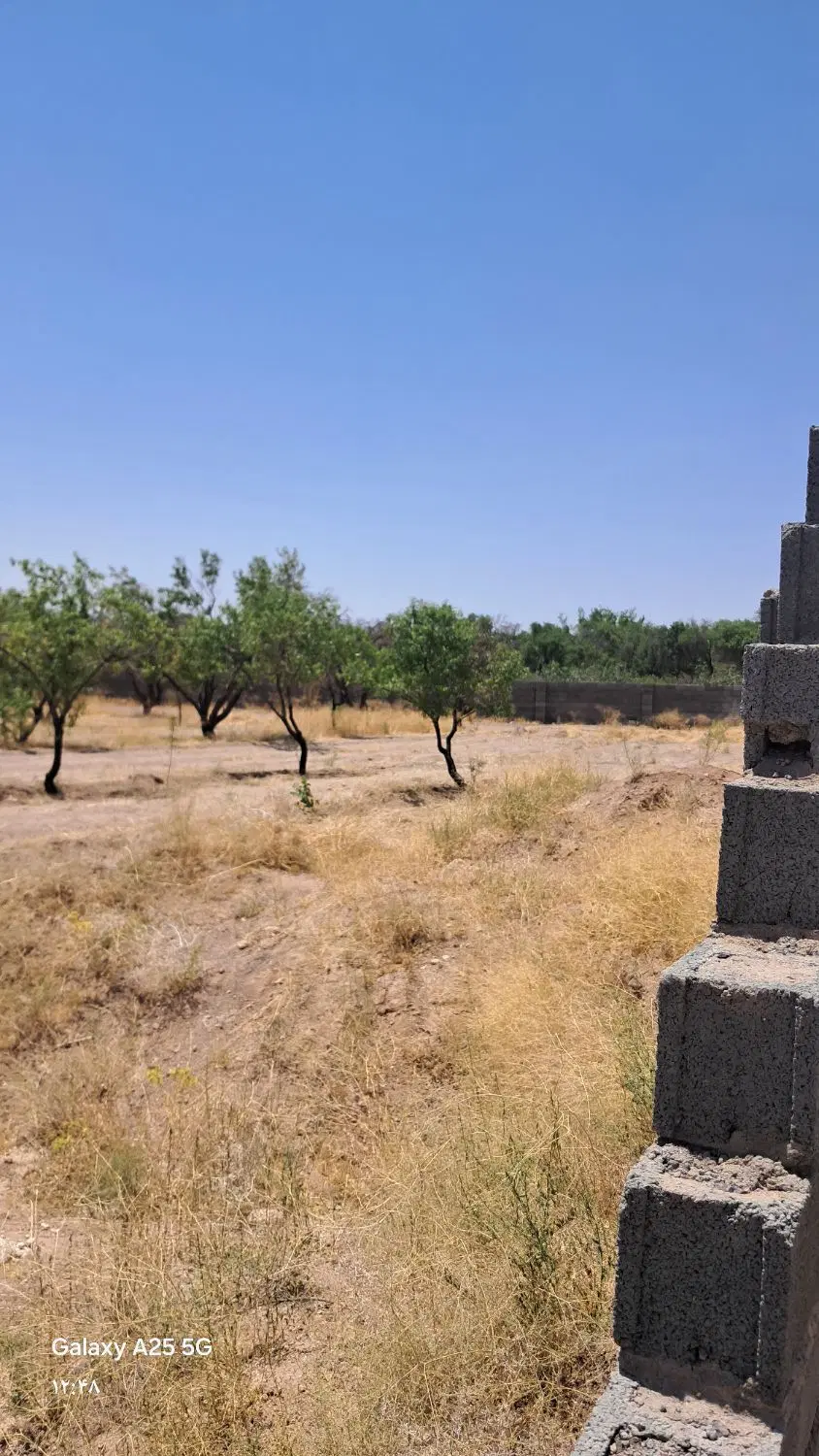 باغ حسن اباد هماشهر