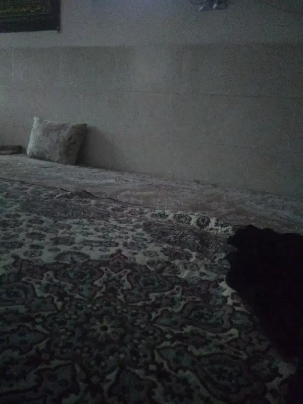 همخونه میشم اقاهستم