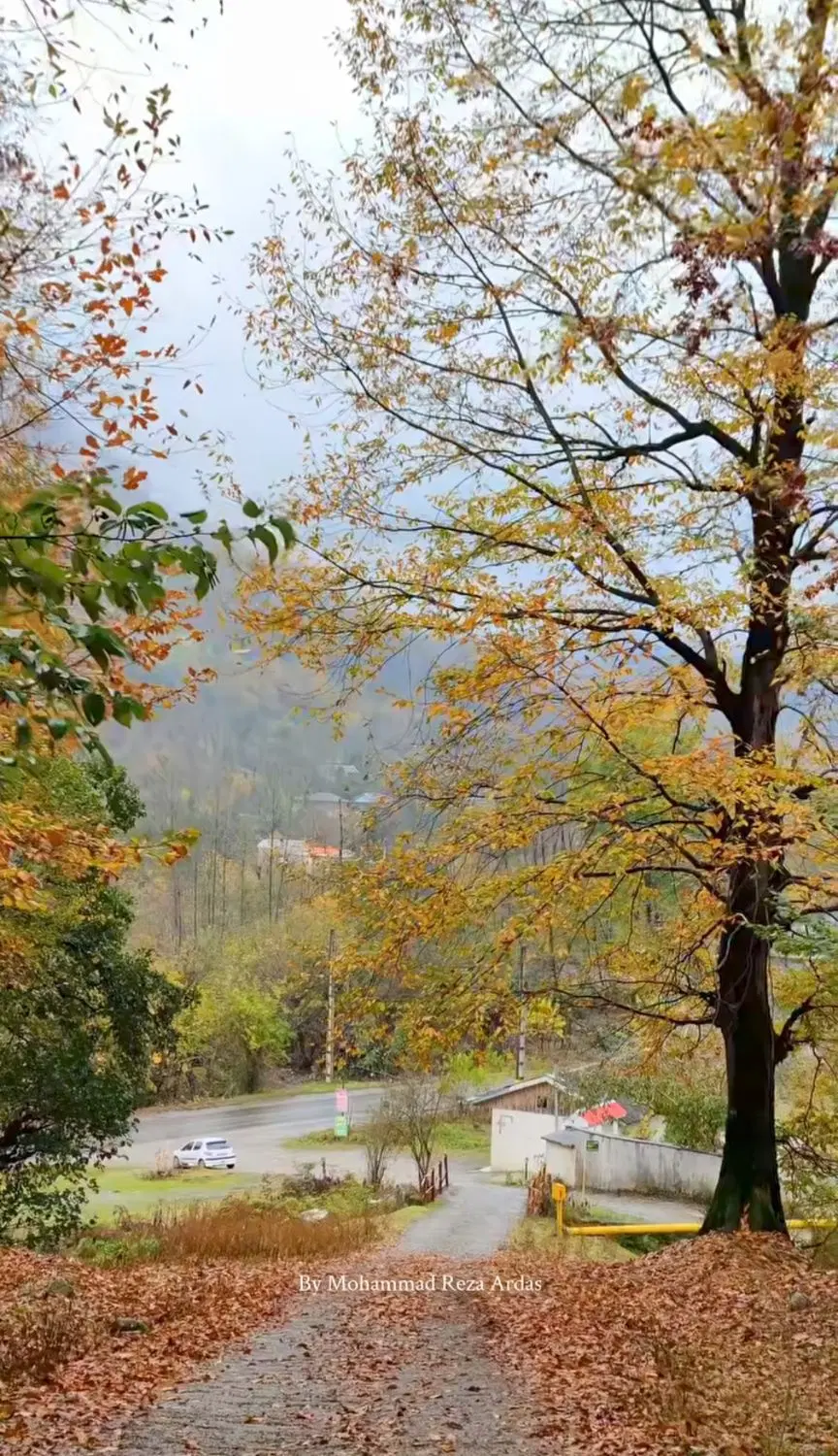 زمین ۱۲۰متری شهروند۱۹